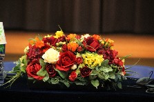 Thumbs/tn_IMG_8084.jpg